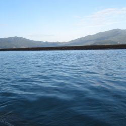 夜釣りから朝マズメ釣行　寒いのから暖かいのまで